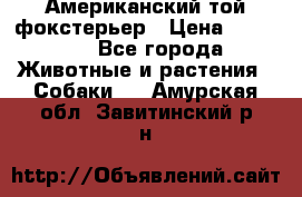 Американский той фокстерьер › Цена ­ 25 000 - Все города Животные и растения » Собаки   . Амурская обл.,Завитинский р-н